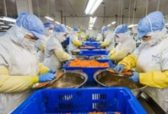 连续22年全国第一！2020山东农产品出口又增1.9%，再创历史新高！