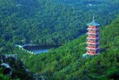 激发文旅发展新动力 山东文旅消费交出亮眼成绩单
