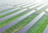 山东省首批省级现代农业产业园认定名单公示