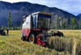 2020年山东省粮食总产量达到5447万吨，占全国粮食产量的8.14%