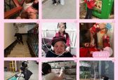 槐荫区营市东街小学一年级二班开展“学习雷锋主题日”活动