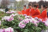 第30届菏泽国际牡丹文化旅游节4月9日开幕