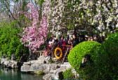 破解旅游业碎片化低端化封闭化 山东省着力打造国内领先的全域智慧文旅平台