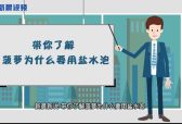 新晨新说 带你了解菠萝为什么要用盐水泡