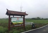 “擒猴”匠品仙茗 40年工艺传承人间第一香