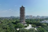 兰陵县：当“文化传承”遇见“乡村振兴”