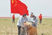 越星河，携月壤，嫦娥六号逐梦归（科技自立自强·逐梦深空）