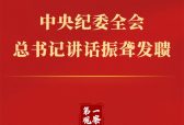 第一观察丨中央纪委全会，总书记讲话振聋发聩