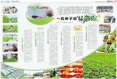 一粒种子的“绿游记”