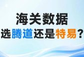 腾道和特易海关数据对比：哪个更适合外贸企业？