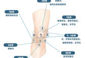 氨糖哪个牌子的效果好，2026好用的氨糖？氨糖+软骨素，强效护膝不刺激
