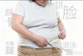2026减肥不踩雷！高口碑瘦身产品实测，专家首推这10款