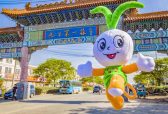 在临沂网评丨为什么兰陵蒜薹是“蒜薹中的茅台”？