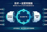 技术+运营双赋能，臻优科技Zmpress打造可长期运营的独立站