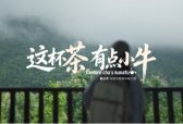 茶小牛开启“非遗中国茶风味之旅”，首站走进福鼎太姥山