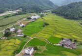 生态导赏带动村民增收案例盘点
